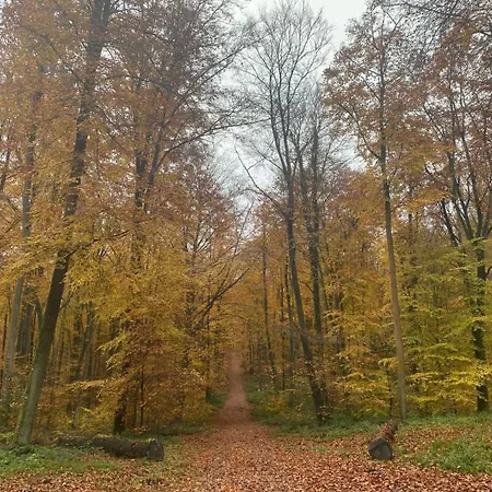 Detente Au Bord De Foret Avec Balneo Et Sauna Prive アパート